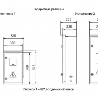 Щитки учёта электроэнергии выносного типа фото 3